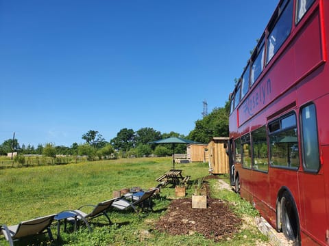 Double Decker Bus on an Alpaca farm sleeps 8 House in Bovey Tracey