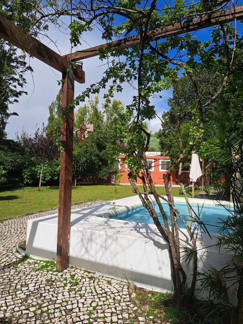 Garden, Pool view, Swimming pool