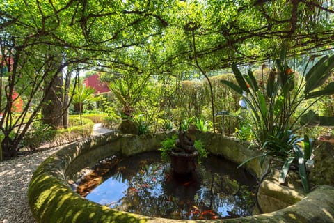 Garden, Garden view