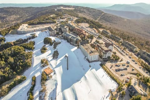 Cozy Condo at Summit Apartment in Snowshoe