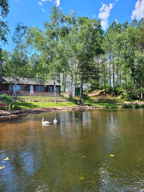 Butler's Bay Cottage cottage House in Spider Lake