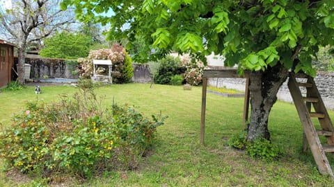 Natural landscape, Garden, Garden view