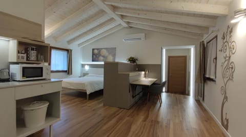 Bed, TV and multimedia, Kitchen or kitchenette, Bedroom, minibar, oven, air conditioner