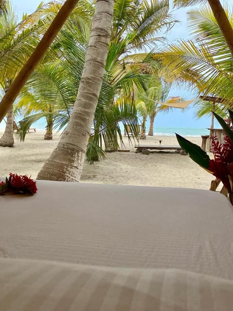 Natural landscape, Beach, Sea view