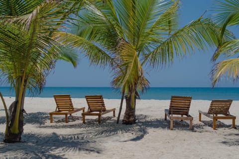 Beach, Sea view, sunbed