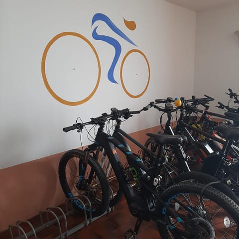 Hotel Firenze 3 Stelle Superior Hotel in Brenzone sul Garda