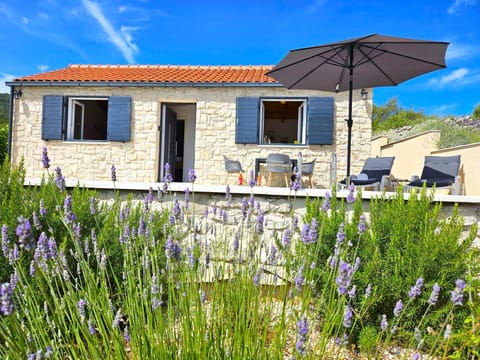 Stone house in vineyard House in Račišće