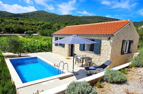 Stone house in vineyard House in Račišće