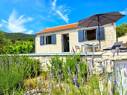 Stone house in vineyard House in Račišće