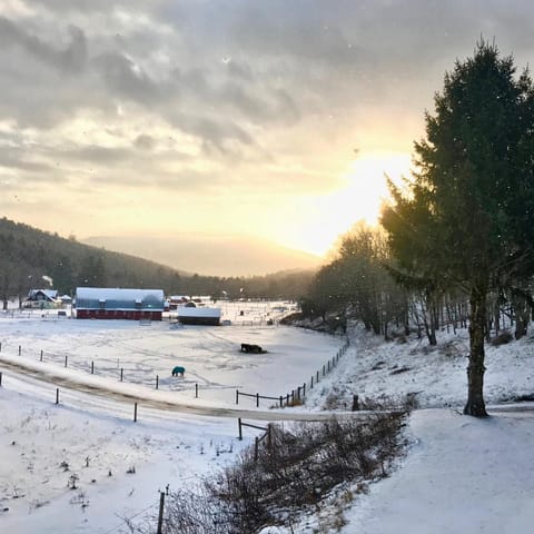 The Blue House On The Hill Catskills—Views House in Shandaken