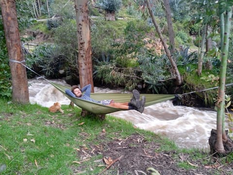 Natural landscape, Activities, River view