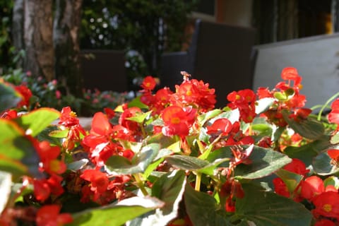 Garden, Living room