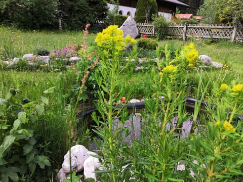 Garden, Garden view