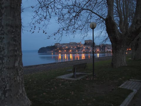 Night, Neighbourhood, Garden