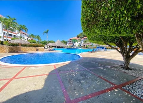 Day, Pool view, Swimming pool, sunbed