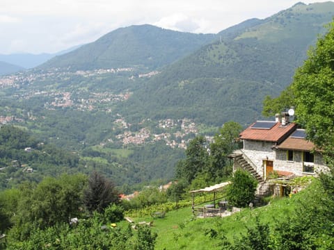 Property building, Garden view