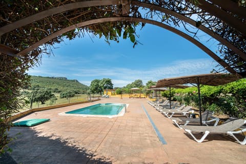 Pool view, Swimming pool, sunbed