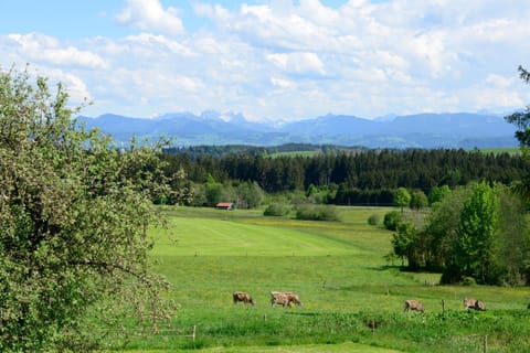 View (from property/room)