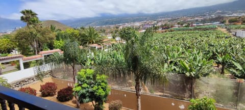 Sommer Sonnenhaus Apartment in Orotava Valley