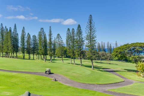 Kapalua Extraordinaire with Glorious Ocean Views! Apartment in Kapalua