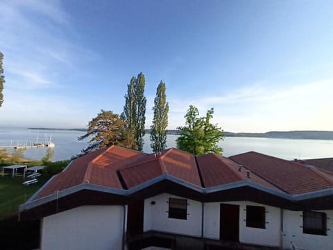 Lake view