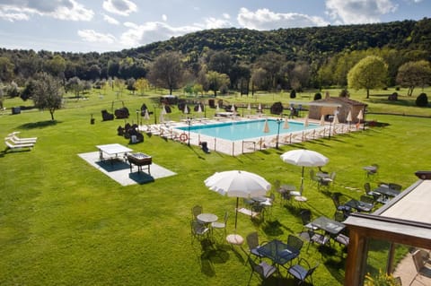 Garden, Garden, Swimming pool, Swimming pool
