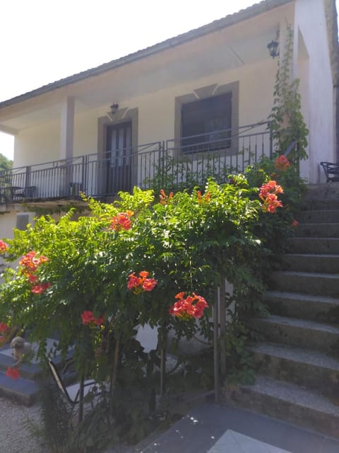 Lucha apartman Apartment in Podgorica Municipality, Montenegro