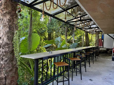 Garden, View (from property/room), Balcony/Terrace, Garden view