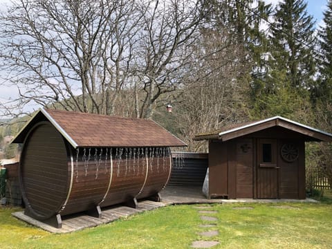 Ferienwohnung Schwarzwaldglueck Apartment in Hinterzarten