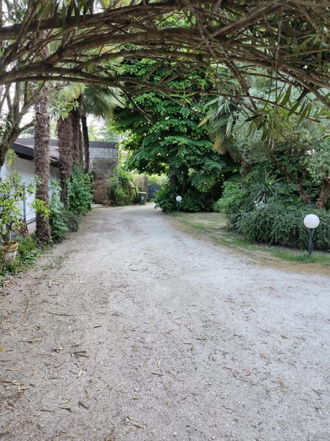 VillaLuigia - Oasi le Palme Apartment in Padua