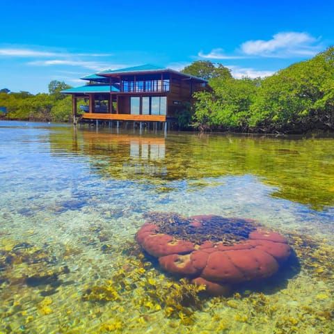 Bahia Coral Lodge Villa in Bocas del Toro Province