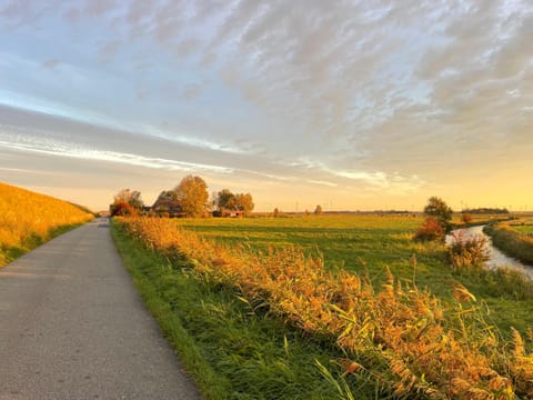 Day, Natural landscape, Sunrise