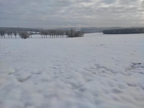 Natural landscape, Winter