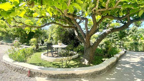 Patio, Dining area