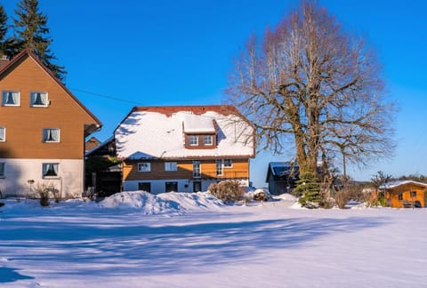 Property building, Winter