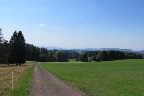 Ferienwohnung Süßes Häusle Condo in Titisee-Neustadt