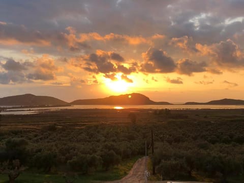 Natural landscape, Sea view, Sunset