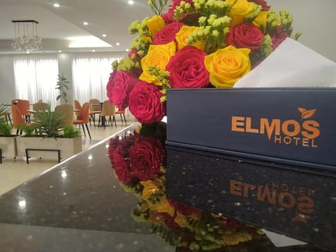 Elmos Hotel Hotel in Addis Ababa
