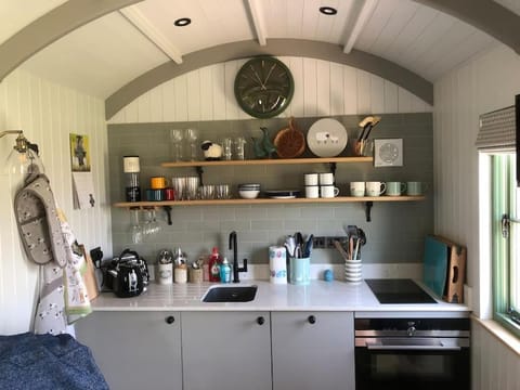 Coldharbour Luxury Shepherds Hut Apartment in Rother District