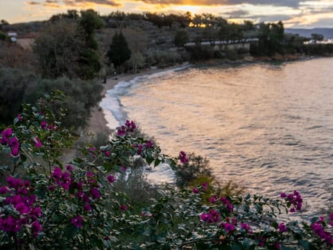 Beach, Sea view