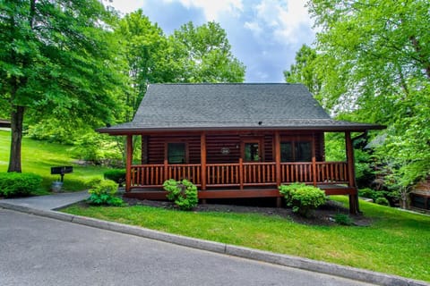 The Alpenhaus Hot Tub Game Room and Fireplace House in Pigeon Forge