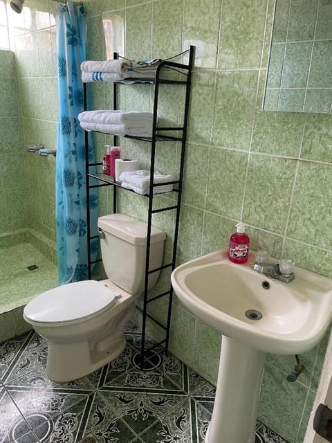 Shower, Toilet, towels