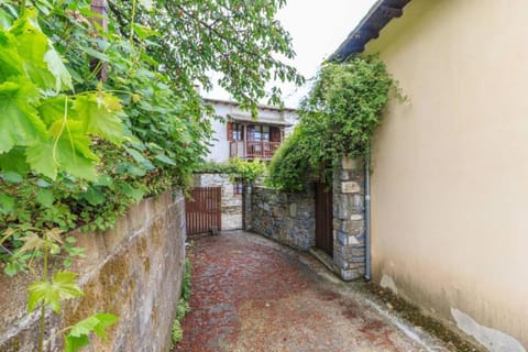 Day, Garden, Garden view