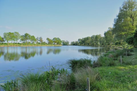 Staff, Natural landscape, River view