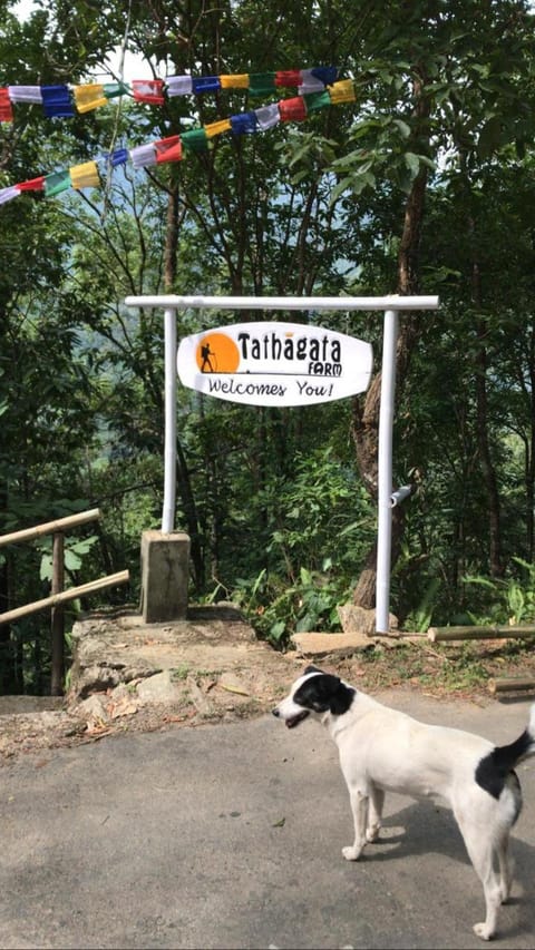 Tathagata Farm Farm Stay in West Bengal