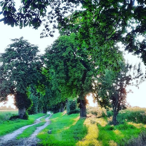 Neighbourhood, Natural landscape