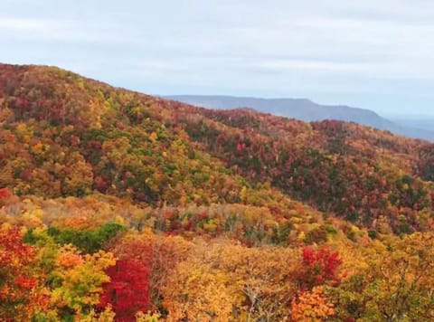 On Top Of The World-heavenly Views-sunsets-pool! House in Gatlinburg