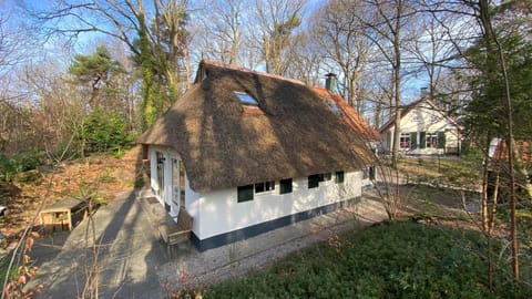 Day, Garden, Garden view