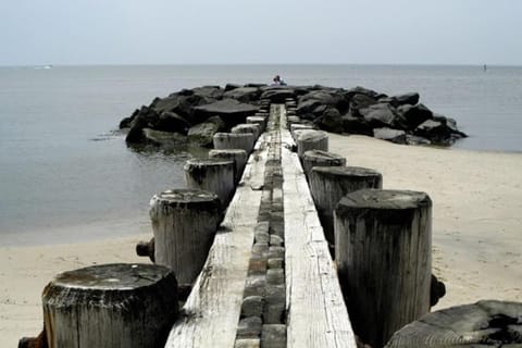 Three Bedroom House - Cape May short walk to the Bay Maison in North Cape May