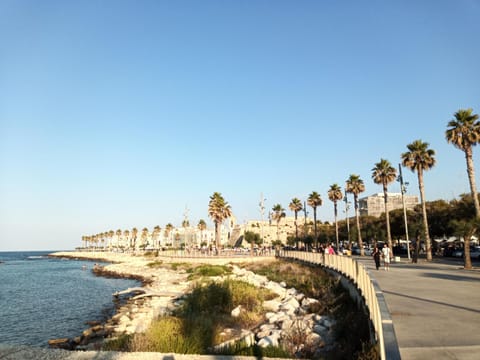 Natural landscape, Sea view